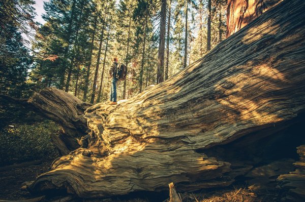 Comment planifier une visite des petits villages pittoresques de la Côte d'Azur, France?
